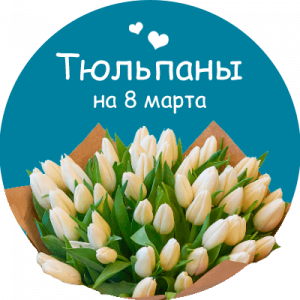 Купить тюльпаны в Медвежьегорске
